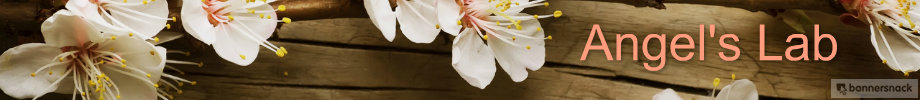 Store_banner_12130_normal