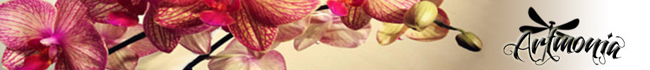 Store_banner_13445_normal