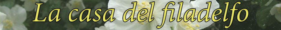 Store_banner_16149_normal