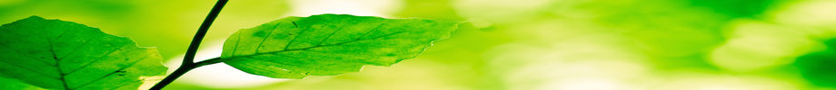 Store_banner_17068_normal